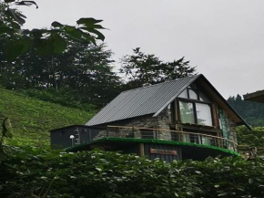 Valhalla House